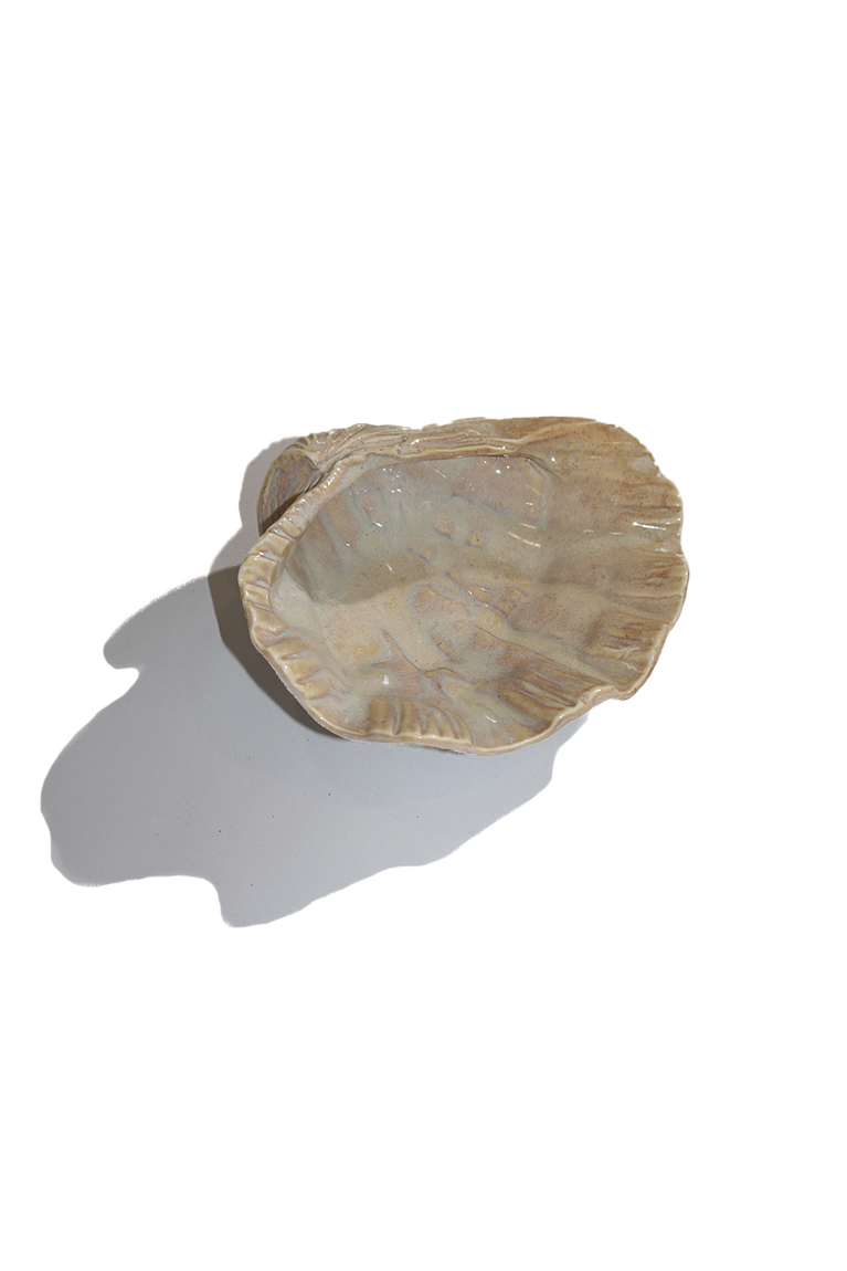 Clam Shell #3